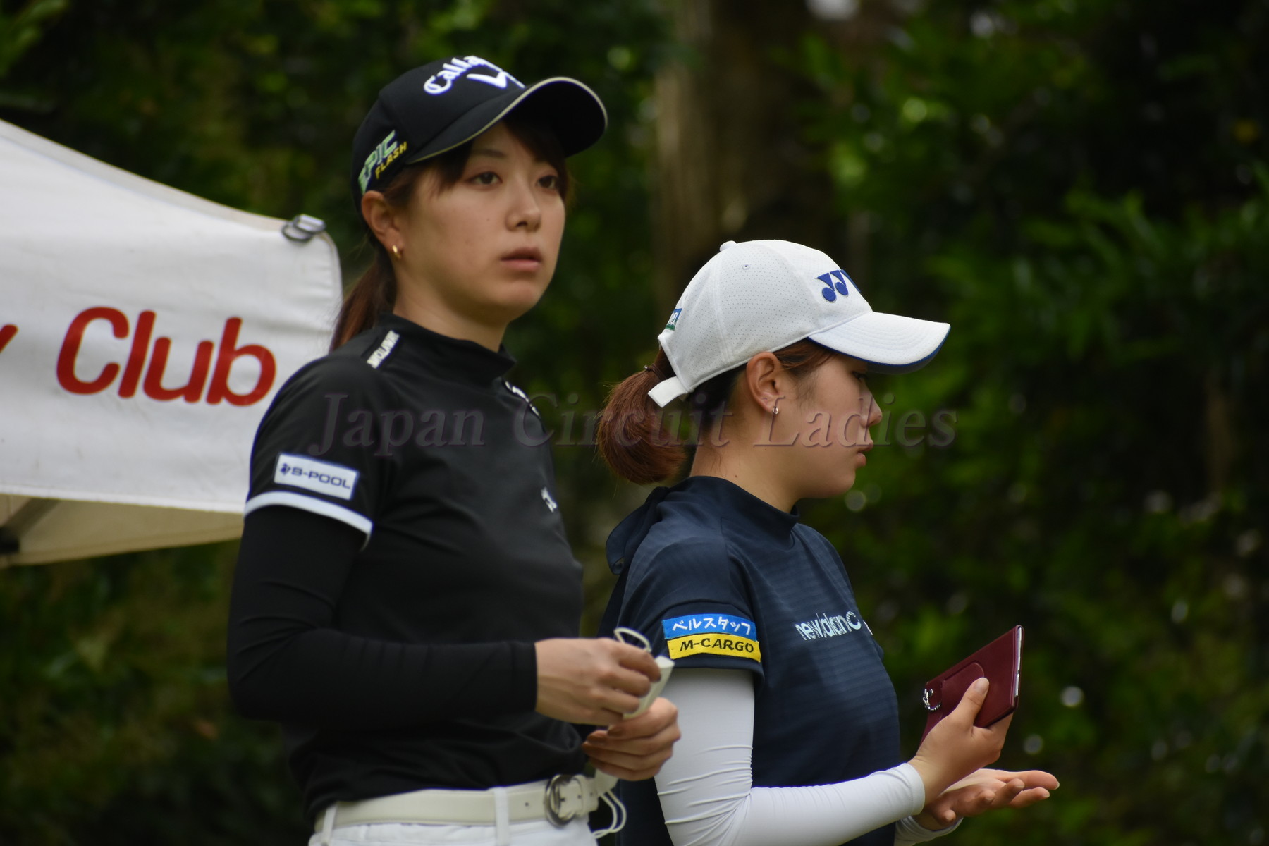 Japan Circuit Ladies Organization