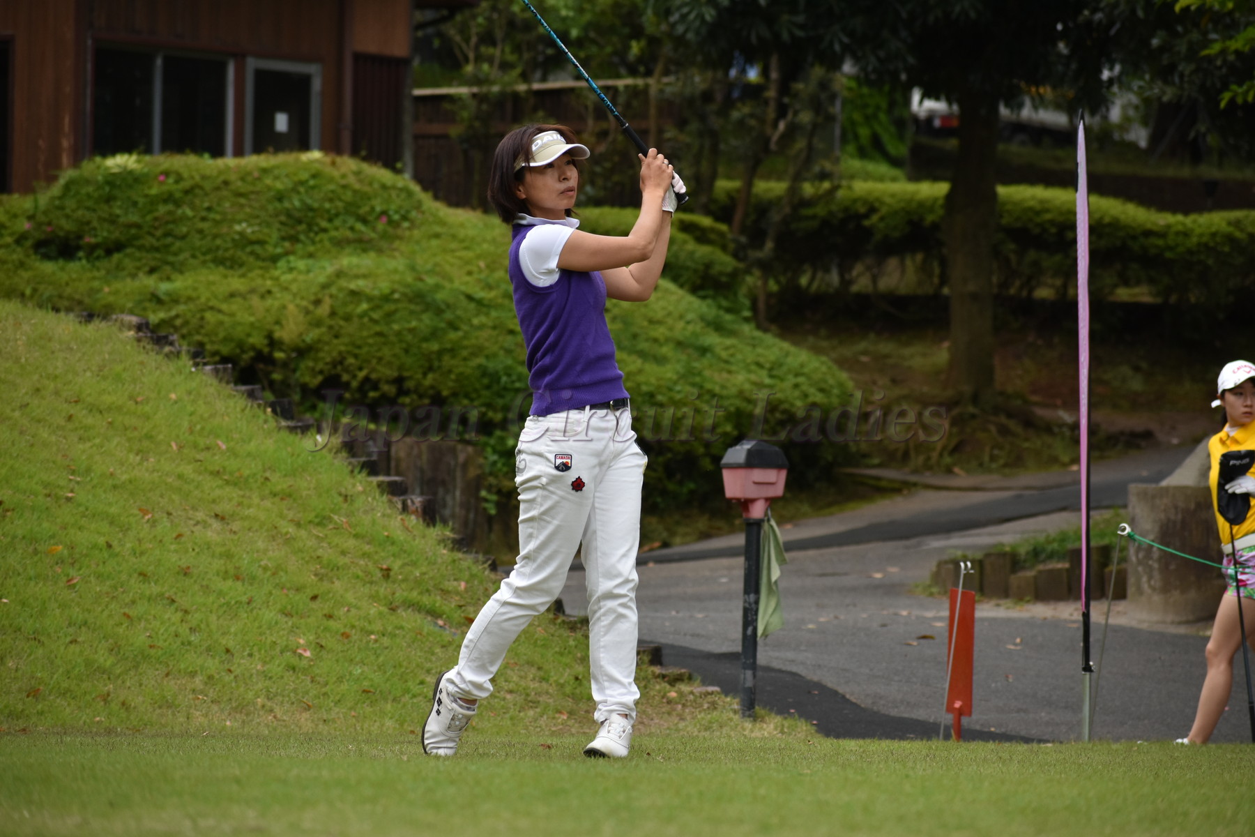 Japan Circuit Ladies Organization