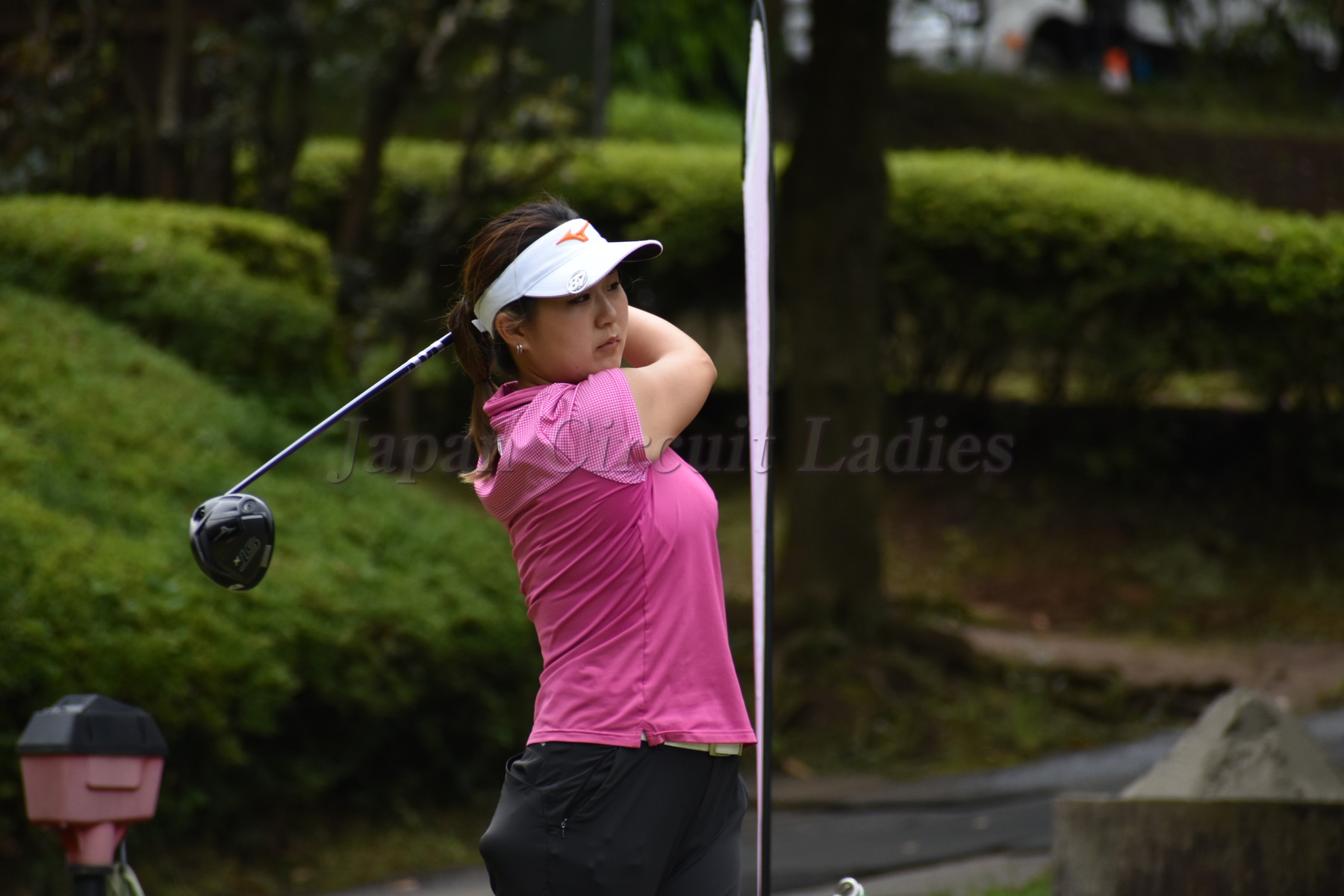 Japan Circuit Ladies Organization