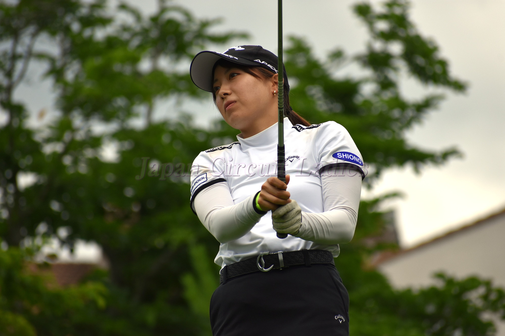 Japan Circuit Ladies Organization