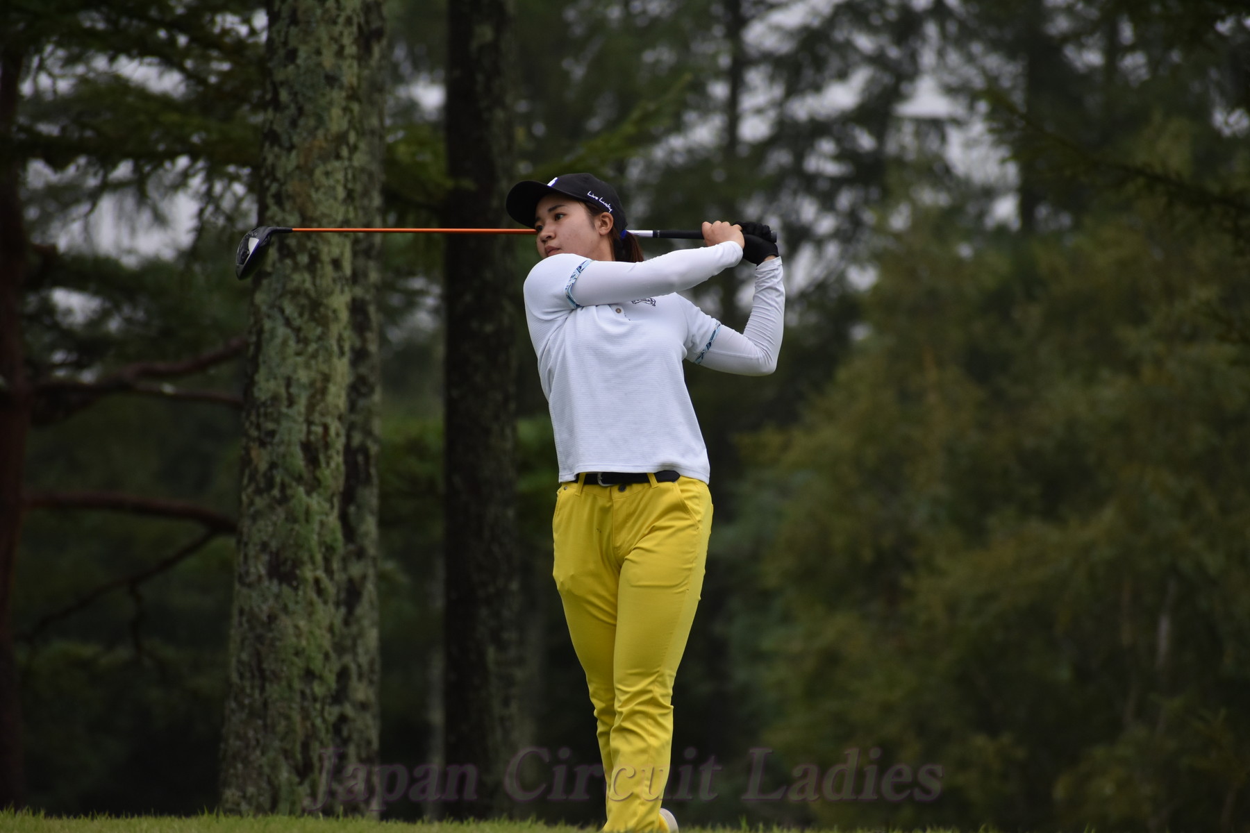 Japan Circuit Ladies Organization