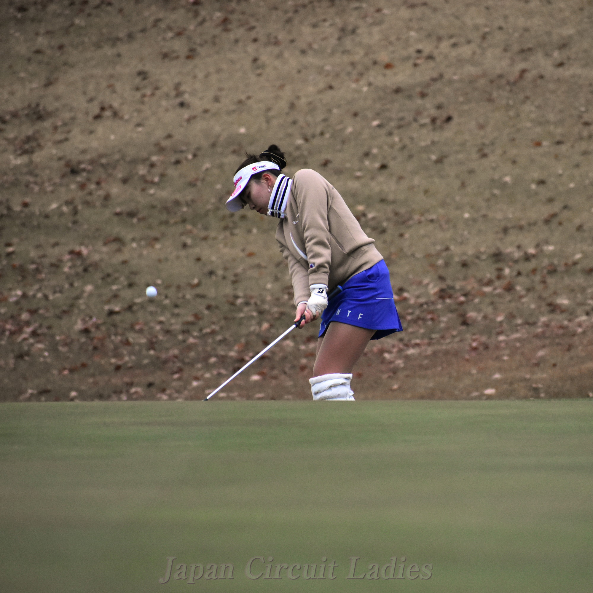 Japan Circuit Ladies Organization